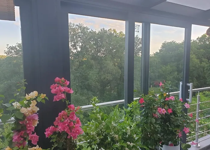 Cozy Room With A Beautiful Garden View