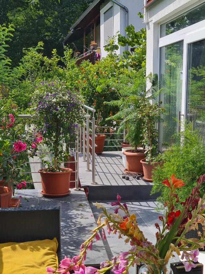 Cozy With A Beautiful Garden View Séjour chez l'habitant Baunatal