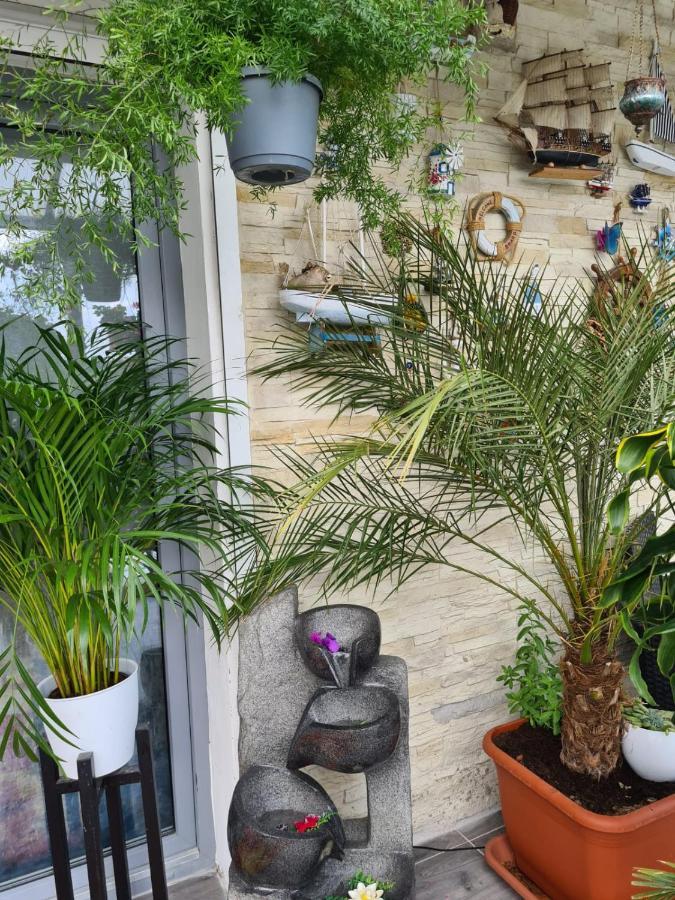 Cozy With A Beautiful Garden View Séjour chez l'habitant