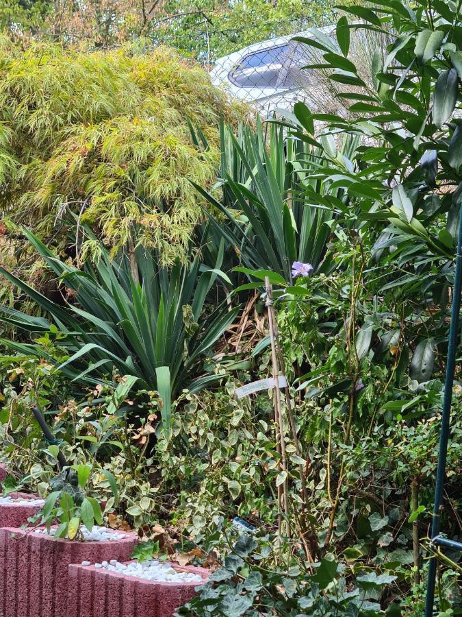 Séjour chez l'habitant Cozy With A Beautiful Garden View