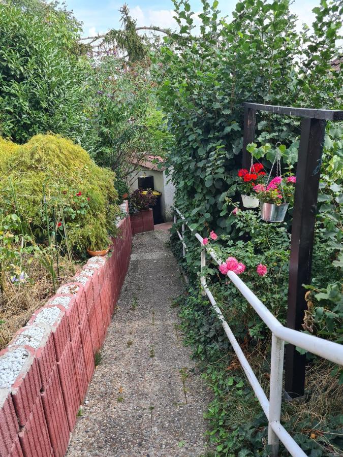 Séjour chez l'habitant Cozy With A Beautiful Garden View