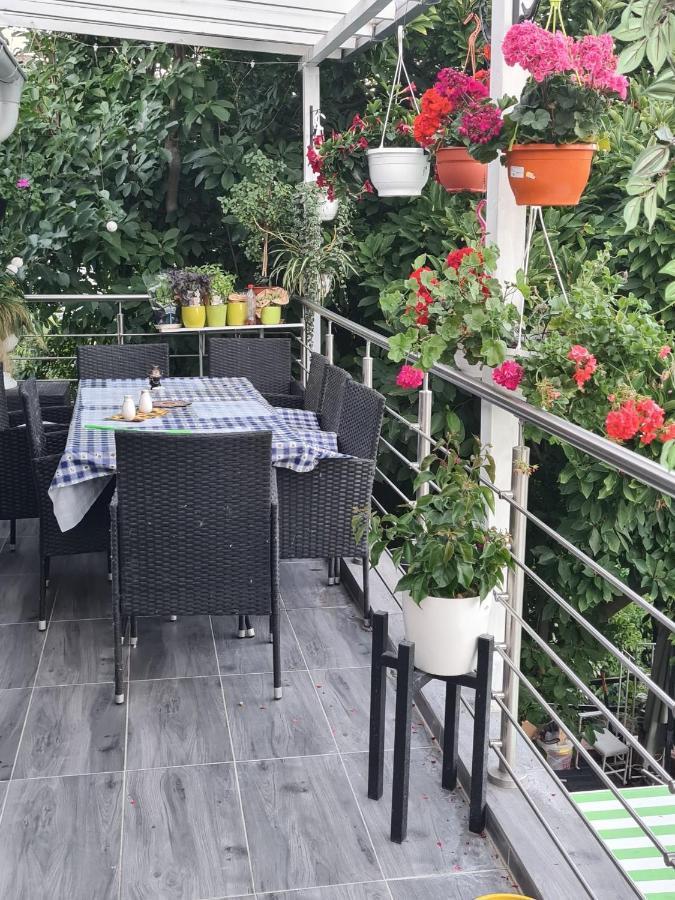 Séjour chez l'habitant Cozy With A Beautiful Garden View Baunatal