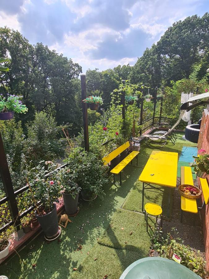 Séjour chez l'habitant Cozy With A Beautiful Garden View *