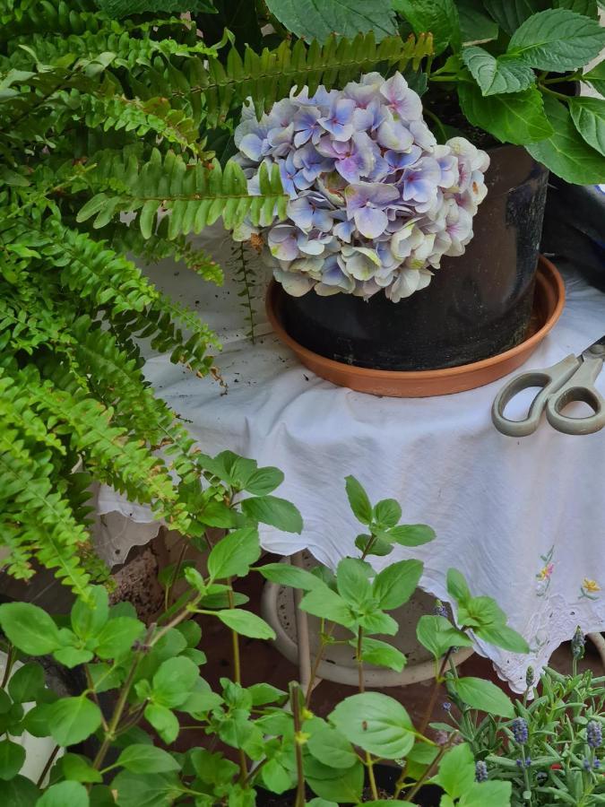 Cozy With A Beautiful Garden View Séjour chez l'habitant Baunatal